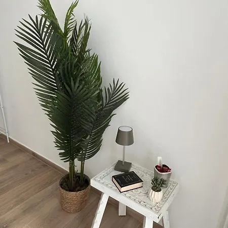 Fior Di Loto - Lungo Po Apartamento *